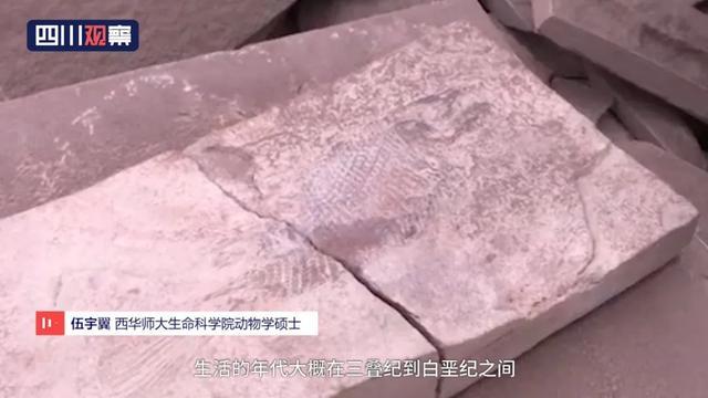 眉山首例！丹棱幸福古村發(fā)現(xiàn)疑距今約一億三千五百萬年的“魚化石”！ 